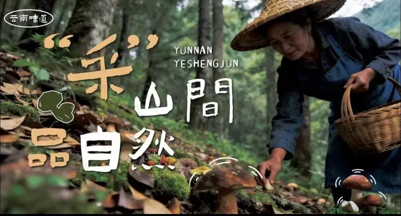 云之南·菌菇焖肉拌饭 出品 4